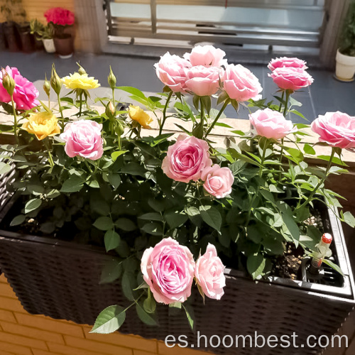 Caja de paletas de plantación de flores para balcón de patio